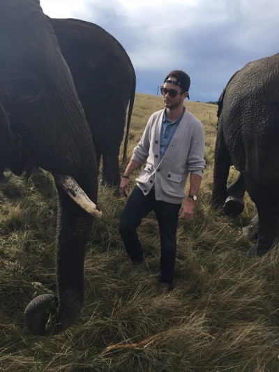 marly_groute_elephant