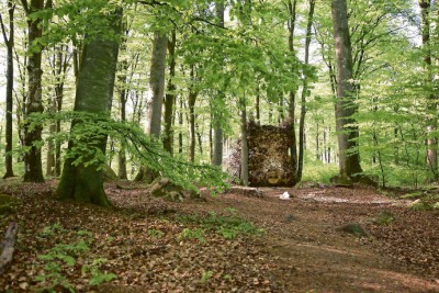 Hannelie Coetzee’s Ou Sog tussen Bome blends into the forest.