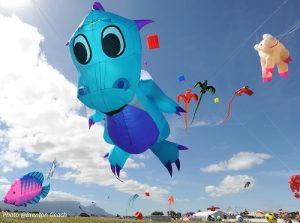 Cape Town International Kite Festival, Brenton Geach