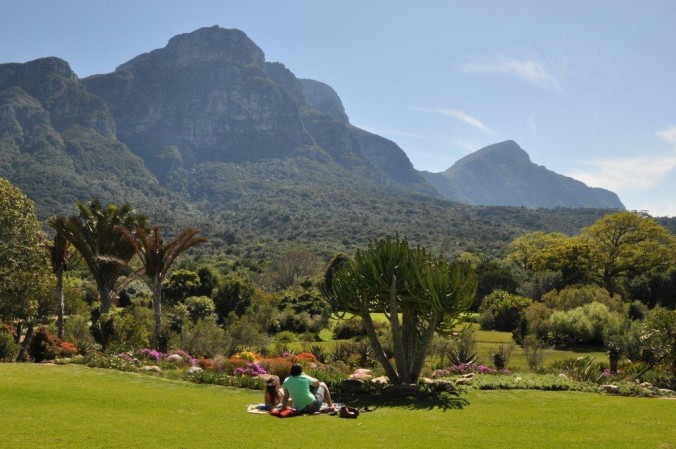 UCT Summer School – Celebrating the Kirstenbosch Centenary