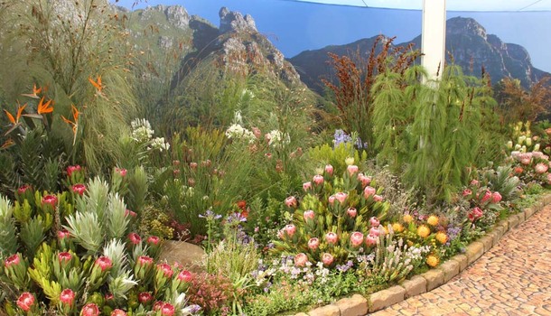 Chelsea Flower Show: SA designers’ blooming great success