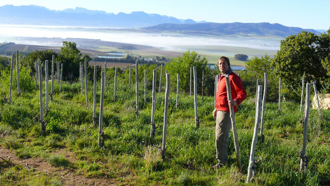 The Cape’s top 20 wineries of 2014