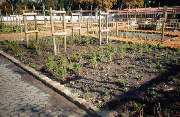 Company’s Garden Grows Greens