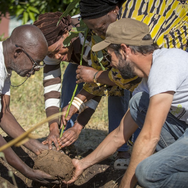 Trees for Zambia: Greenpop branches out