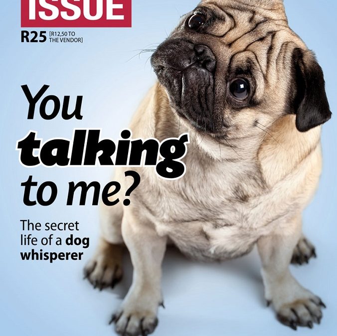 Introducing The Big Issue #243