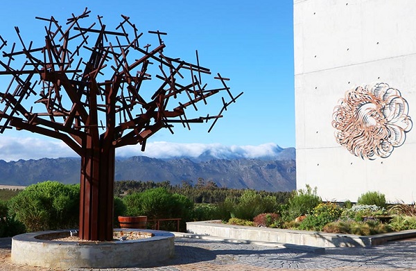 Biodynamic Waterkloof on the Green Wine Route