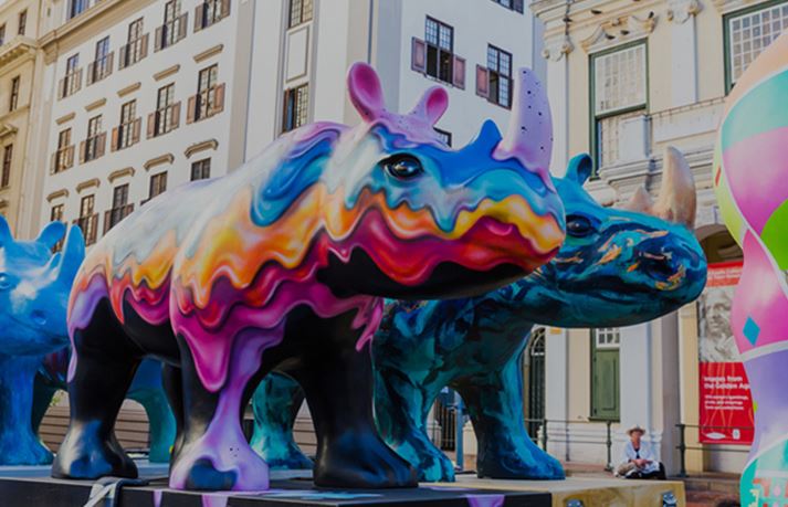 Rhinos Are Coming to the V & A Waterfront