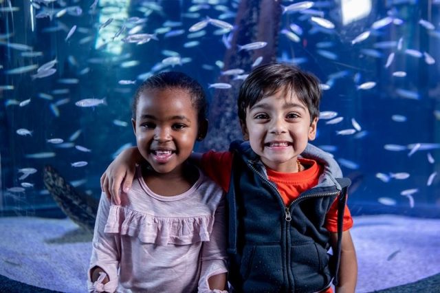 Two Oceans Aquarium, VA Waterfront