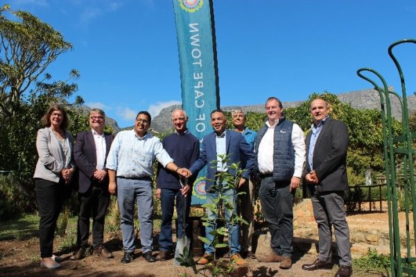 Company’s Garden, apple tree planting