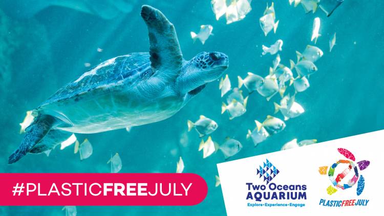 Two Oceans Aquarium countdown to Plastic Free July