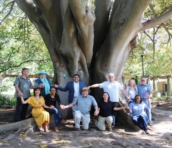 Champion Tree, Company's Garden