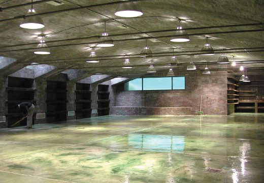 Bunker Room