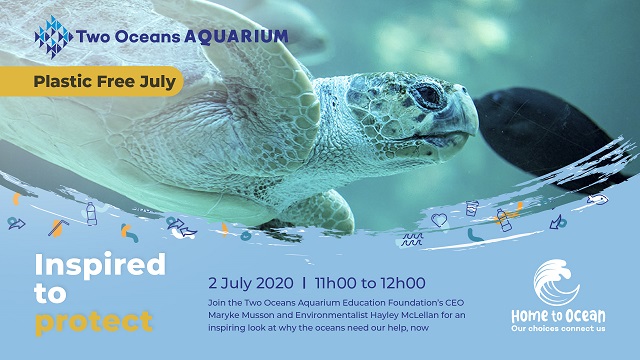 Plastic Free July – free Two Oceans Aquarium Webinars