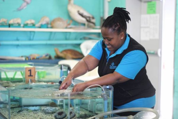 isiXhosa Course with the Two Oceans Aquarium