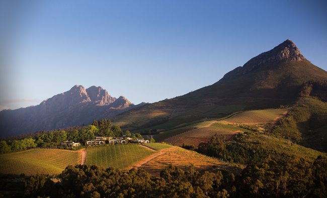 Delaire Graff Estate in 50 World’s Best Vineyards