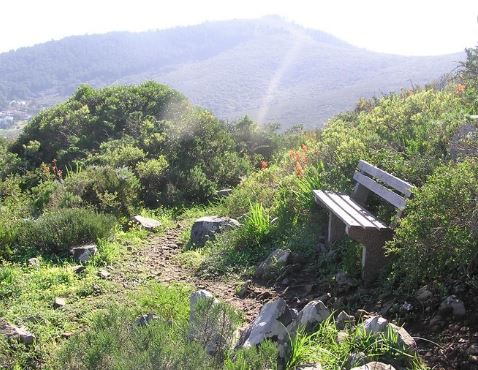 World Environmental Education Day a reminder of Cape Town’s vast biodiversity