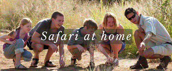 Safari at Home with Timeless Africa Safaris