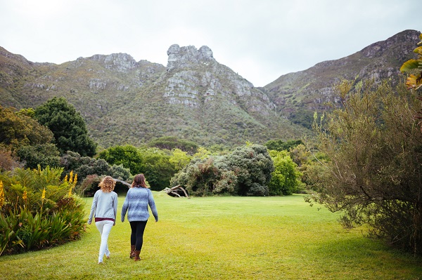 Kirstenbosch Reopens