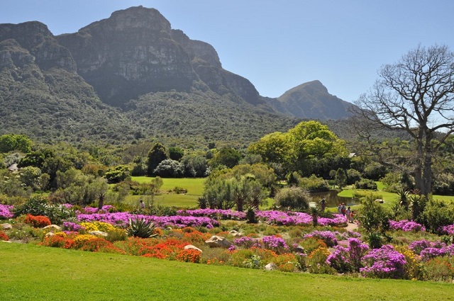 Kirstenbosch National Botanical Garden crowned best in Africa