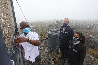 Fog Harvesting, Table Mountain