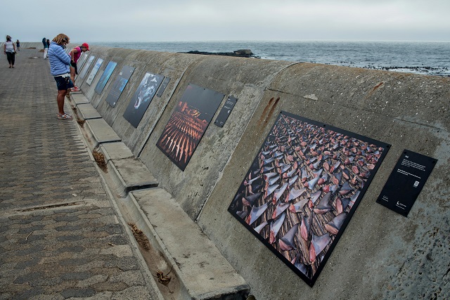 Save Our Seas, Photo exhibition, Thomas Peschak,