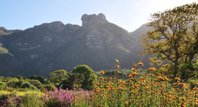 Kirstenbosch Dual Pricing From 1 April 2021