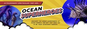 Ocean Superheroes, Two Oceans Aquarium