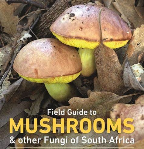 Field Guide to Mushrooms – RoomToGrow Kirstenbosch