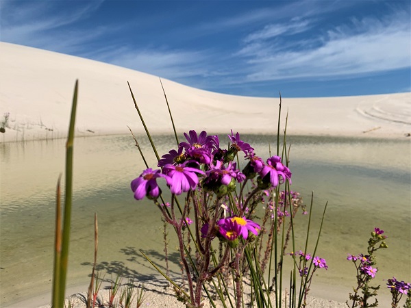 Witzands Aquifer Nature Reserve – City’s Reserve of the Year