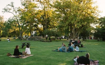 Spier Sunset Sessions: Live Music on the Werf