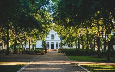Boschendal Estate and Norval Foundation historic-artistic collaboration