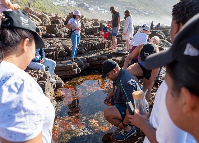 City Nature Challenge 2022 – Cape Town earns second place!