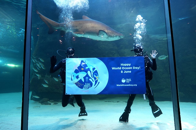 World Ocean Day 2022 on 8 June at Two Oceans Aquarium