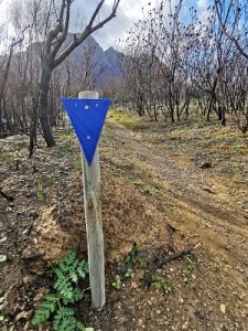 Helderberg Nature Reserve reopens