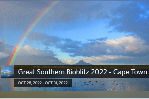 Great Southern Bioblitz -how to  join in!