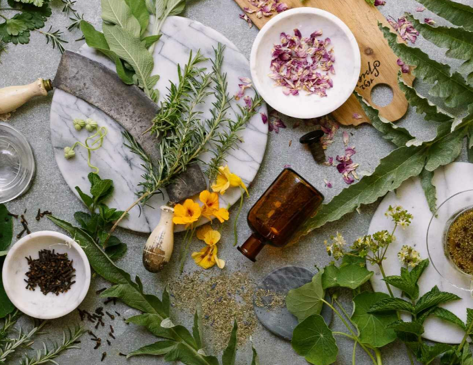 Discover Healing Herbs at Spier Wine Farm