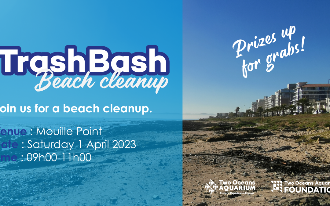 Trash Bash Beach Clean-up at Mouille Point