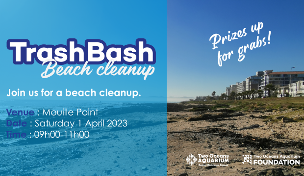 Trash Bash Beach Clean-up