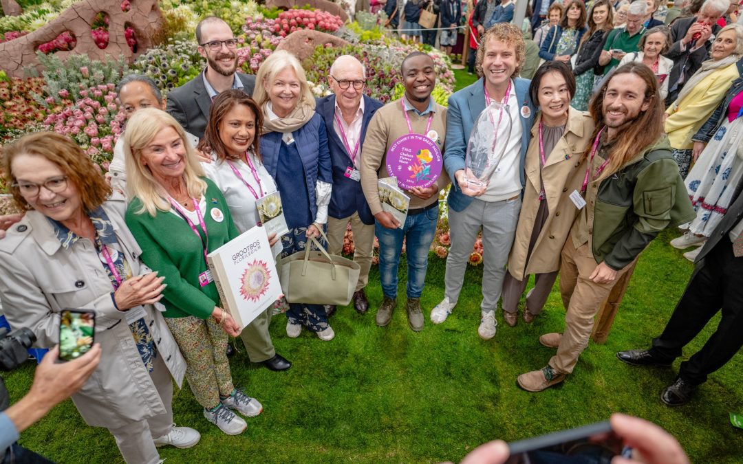 City congratulates Team SA – winning GOLD at Chelsea Flower Show