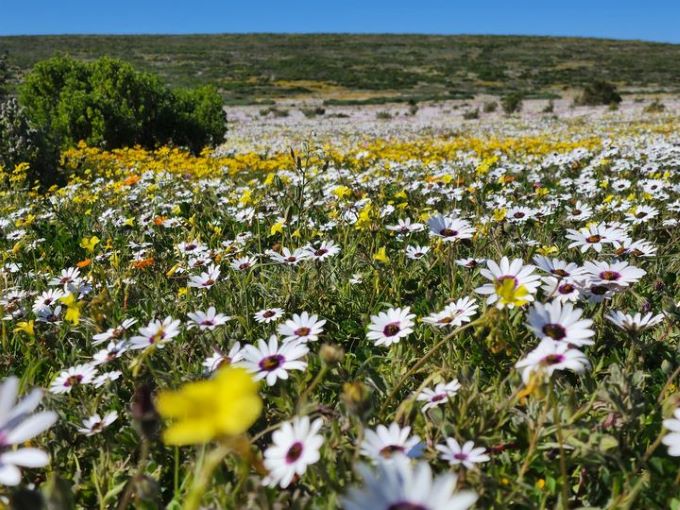 SanParks announces free entry for National Parks Week