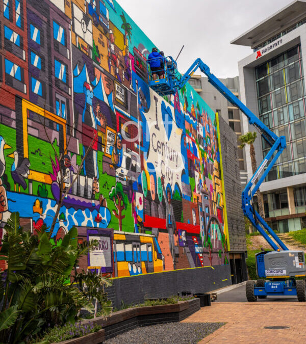 Mpumelelo Bhengu-  new mural unveiled at Century City