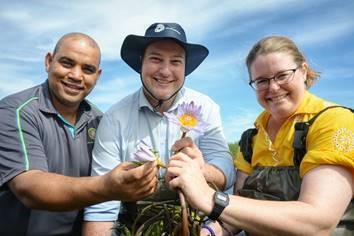 Locally extinct Cape Water Lily blooms to celebrate Earthshot Week