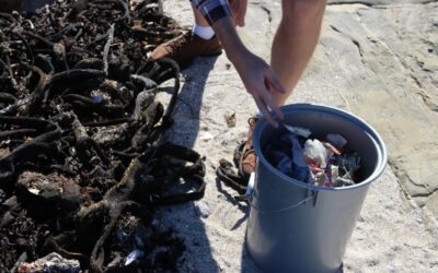 Two Oceans Aquarium Trash Bash – Hout Bay beach – Saturday 16 November