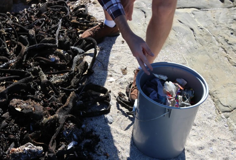 Two Oceans Aquarium Trash Bash, Hout Bay beach