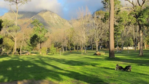 Cape Town’s Green Gems