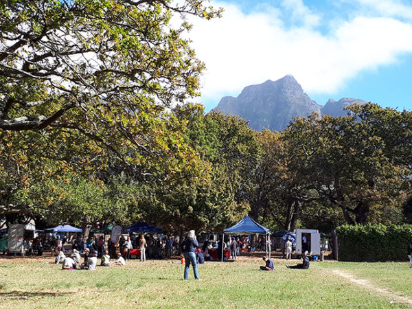 Cape Town’s Green Gems