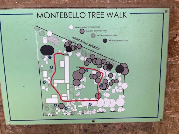 Montebello Tree Walk, Tessa Graaff,