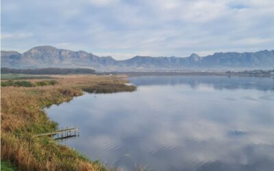 Cape Town re-opens Zeekoevlei waterbody for recreational use