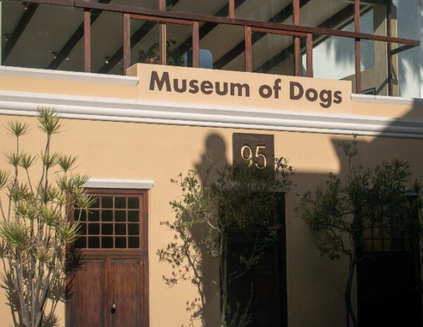 Museum of Dogs