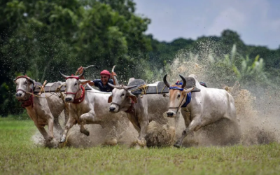 Andrei Stenin International Photo Contest Exhibition at Castle of Good Hope